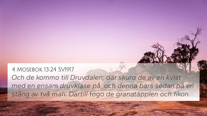 4 Mosebok 13:24 SV1917 4K Wallpaper - Och de kommo till Druvdalen; där skuro de av en - 4K Wallpaper Bible Verse