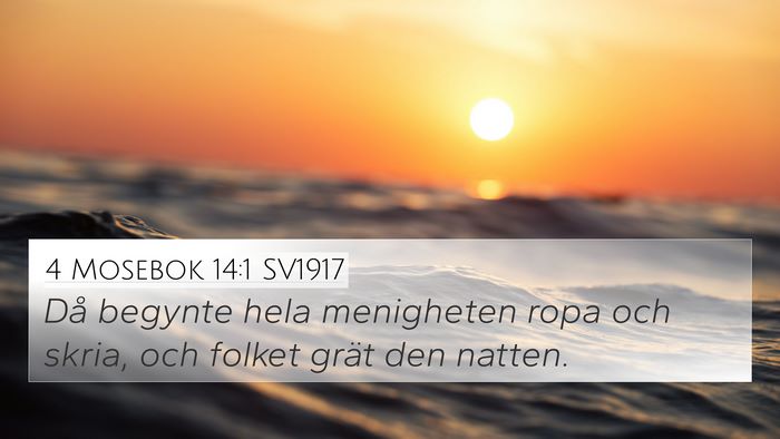4 Mosebok 14:1 SV1917 Bible Verse Image