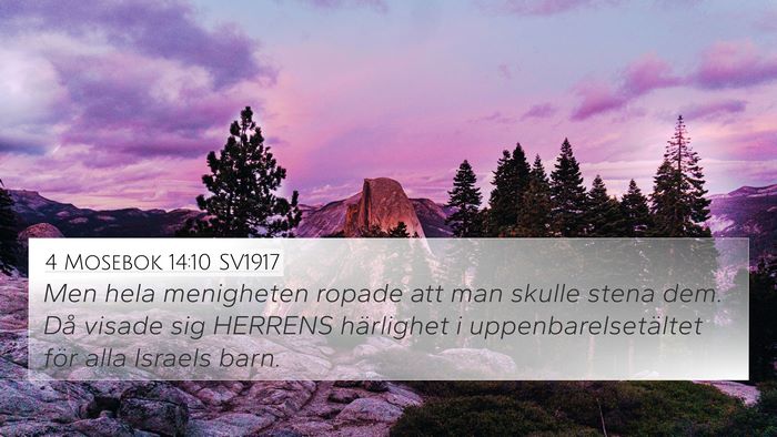 4 Mosebok 14:10 SV1917 Bible Verse Image