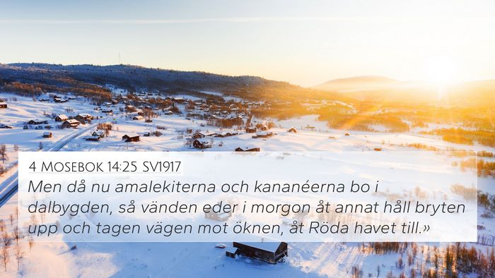 4 Mosebok 14:25 SV1917 Bible Verse Image
