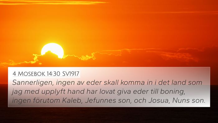 4 Mosebok 14:30 SV1917 4K Wallpaper - Sannerligen, ingen av eder skall komma in i det - 4K Wallpaper Bible Verse