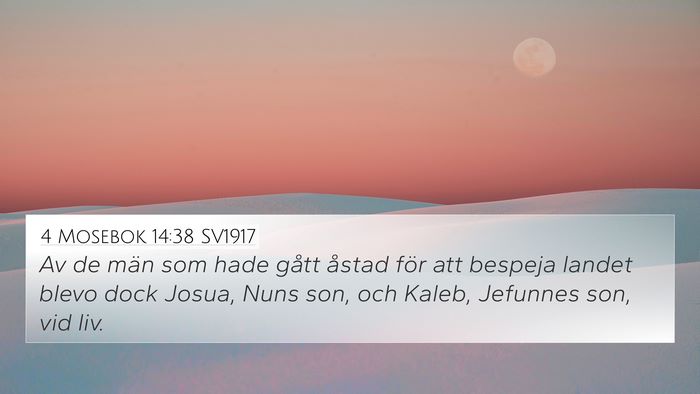 4 Mosebok 14:38 SV1917 Bible Verse Image