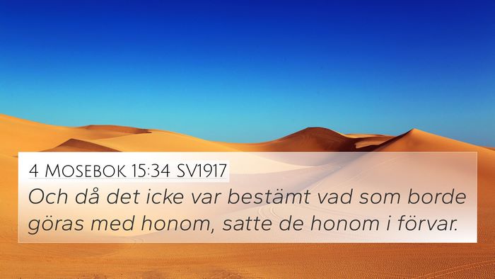 4 Mosebok 15:34 SV1917 Bible Verse Image