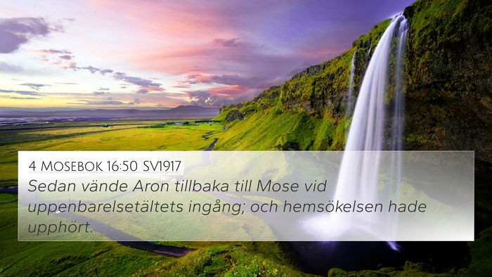 4 Mosebok 16:50 SV1917 4K Wallpaper - Sedan vände Aron tillbaka till Mose vid - 4K Wallpaper Bible Verse