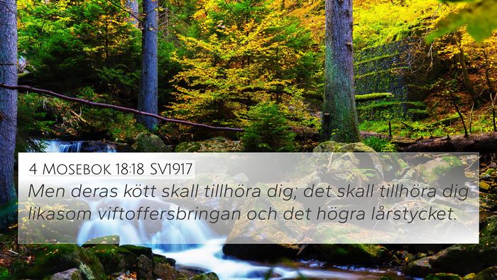 4 Mosebok 18:18 SV1917 Bible Verse Image