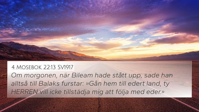 4 Mosebok 22:13 SV1917 Bible Verse Image
