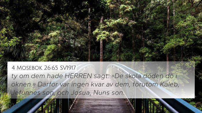 4 Mosebok 26:65 SV1917 Bible Verse Image