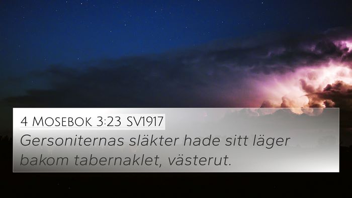 4 Mosebok 3:23 SV1917 Bible Verse Image