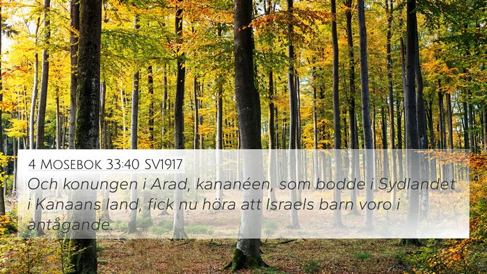 4 Mosebok 33:40 SV1917 4K Wallpaper - Och konungen i Arad, kananéen, som bodde i - 4K Wallpaper Bible Verse