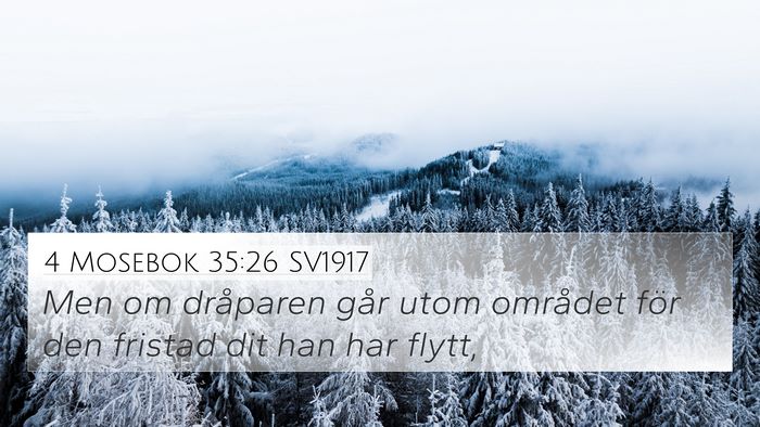 4 Mosebok 35:26 SV1917 4K Wallpaper - Men om dråparen går utom området för den - 4K Wallpaper Bible Verse