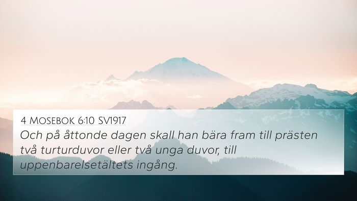 4 Mosebok 6:10 SV1917 Bible Verse Image