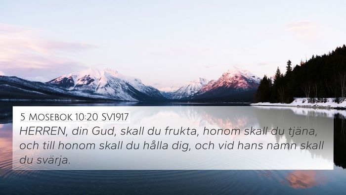 5 Mosebok 10:20 SV1917 Bible Verse Image