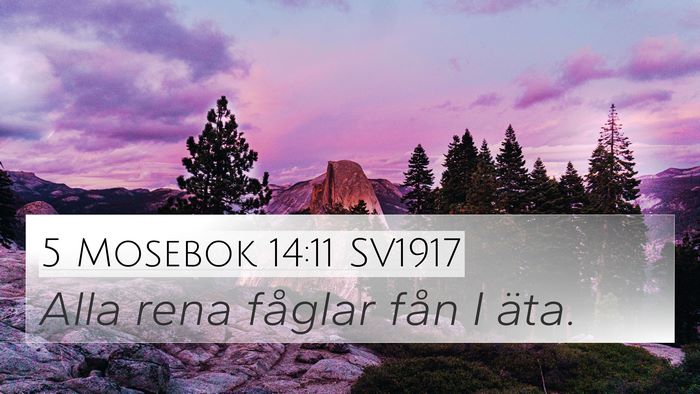 5 Mosebok 14:11 SV1917 4K Wallpaper - Alla rena fåglar fån I - 4K Wallpaper Bible Verse