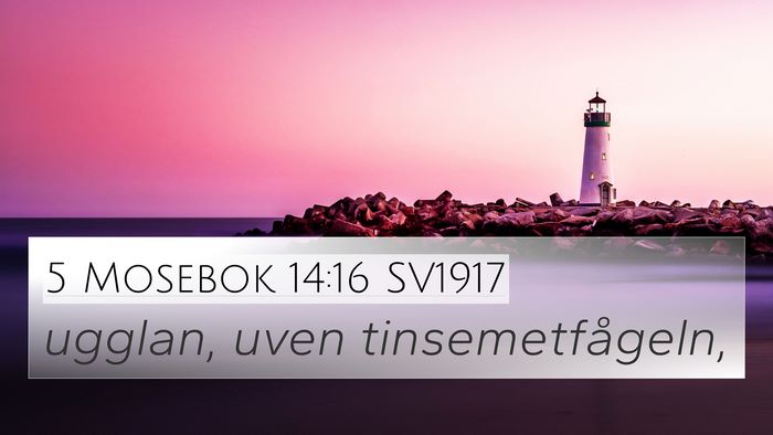 5 Mosebok 14:16 SV1917 4K Wallpaper - ugglan, uven - 4K Wallpaper Bible Verse