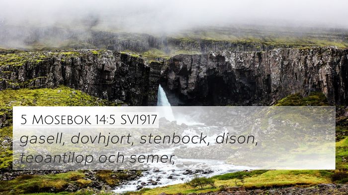 5 Mosebok 14:5 SV1917 4K Wallpaper - gasell, dovhjort, stenbock, dison, teoantilop och - 4K Wallpaper Bible Verse