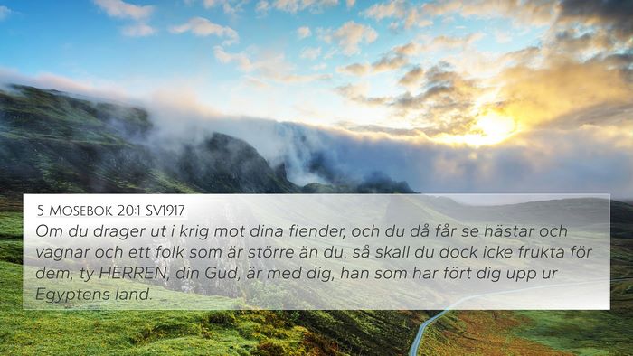 5 Mosebok 20:1 SV1917 Bible Verse Image