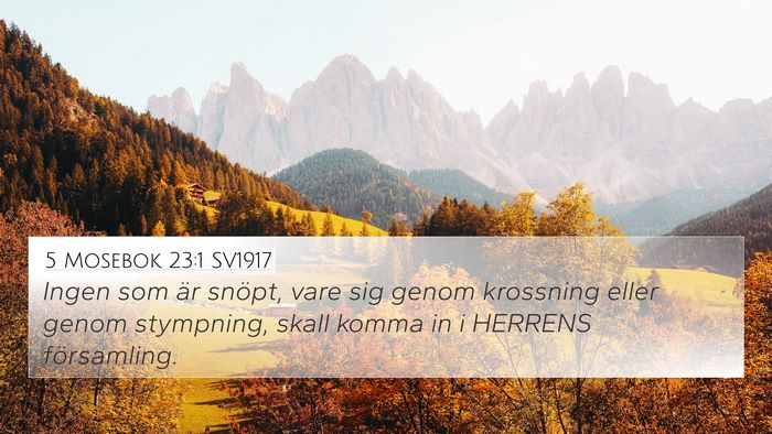 5 Mosebok 23:1 SV1917 Bible Verse Image