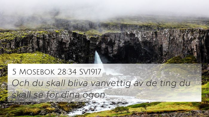 5 Mosebok 28:34 SV1917 Bible Verse Image