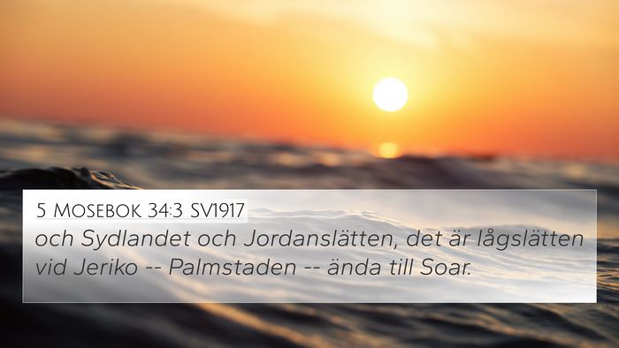 5 Mosebok 34:3 SV1917 Bible Verse Image