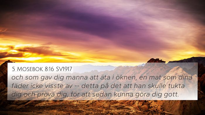 5 Mosebok 8:16 SV1917 Bible Verse Image