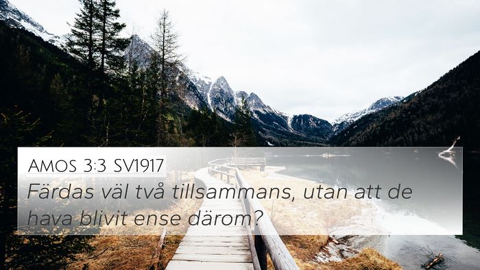 Amos 3:3 SV1917 Bible Verse Image