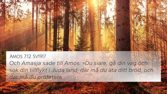 Amos 7:12 SV1917 Bible Verse Image