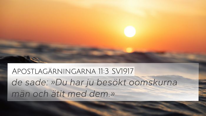 Apostlagärningarna 11:3 SV1917 4K Wallpaper - de sade: »Du har ju besökt oomskurna män och - 4K Wallpaper Bible Verse