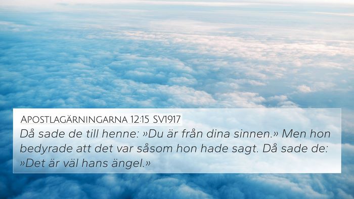 Apostlagärningarna 12:15 SV1917 Bible Verse Image