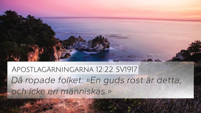 Apostlagärningarna 12:22 SV1917 Bible Verse Image