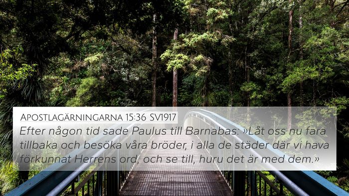 Apostlagärningarna 15:36 SV1917 Bible Verse Image