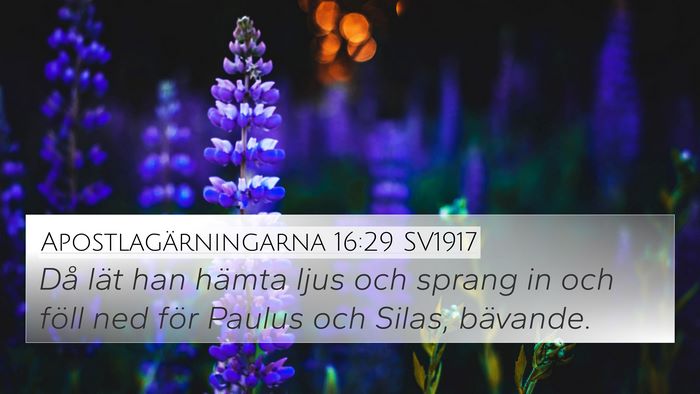 Apostlagärningarna 16:29 SV1917 Bible Verse Image