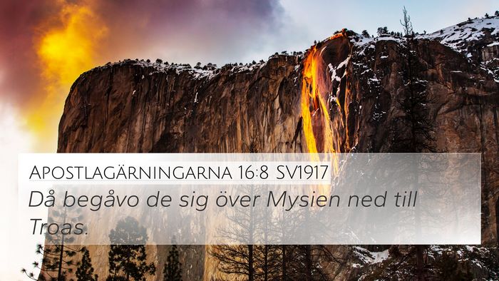 Apostlagärningarna 16:8 SV1917 Bible Verse Image