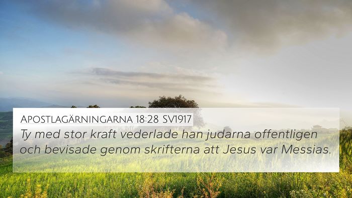 Apostlagärningarna 18:28 SV1917 Bible Verse Image