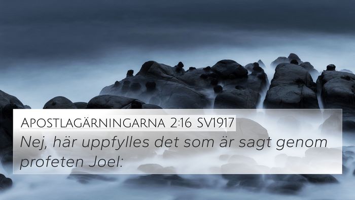 Apostlagärningarna 2:16 SV1917 Bible Verse Image