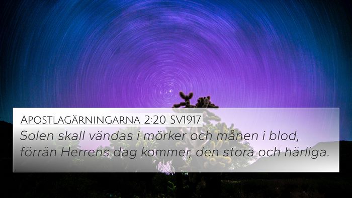Apostlagärningarna 2:20 SV1917 Bible Verse Image