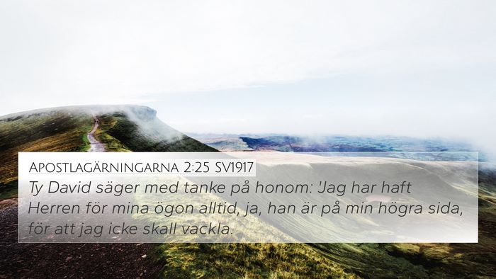 Apostlagärningarna 2:25 SV1917 Bible Verse Image
