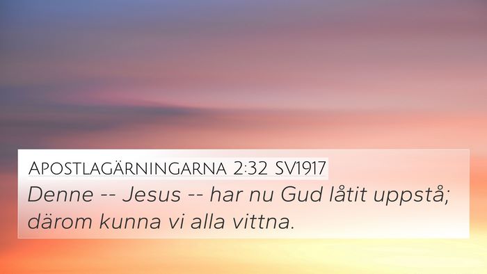 Apostlagärningarna 2:32 SV1917 Bible Verse Image