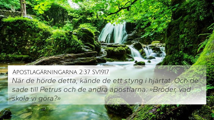 Apostlagärningarna 2:37 SV1917 Bible Verse Image