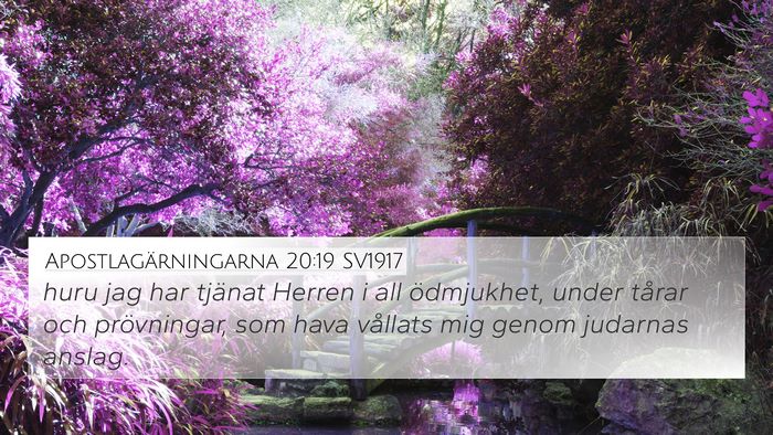 Apostlagärningarna 20:19 SV1917 Bible Verse Image