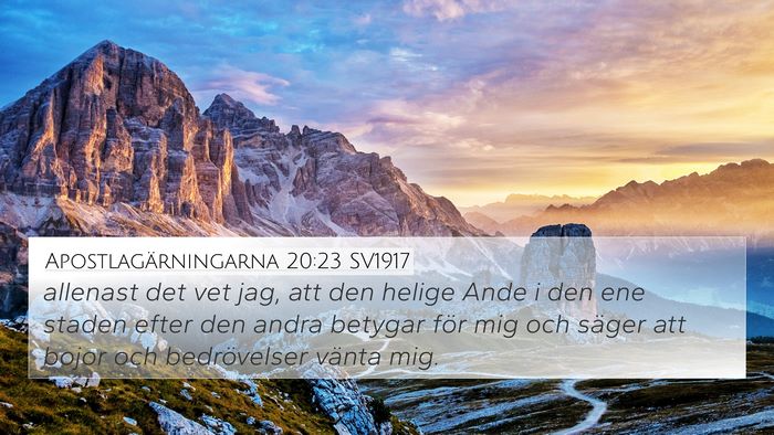 Apostlagärningarna 20:23 SV1917 Bible Verse Image