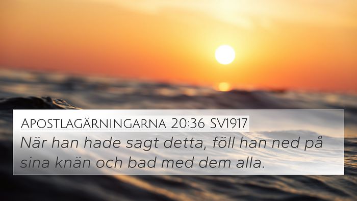 Apostlagärningarna 20:36 SV1917 Bible Verse Image