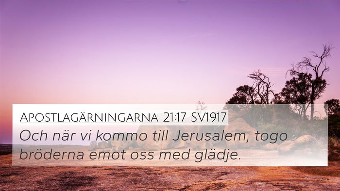 Apostlagärningarna 21:17 SV1917 Bible Verse Image