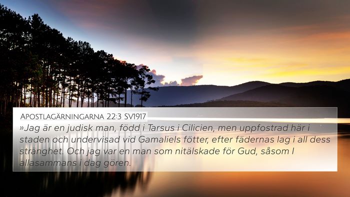 Apostlagärningarna 22:3 SV1917 Bible Verse Image