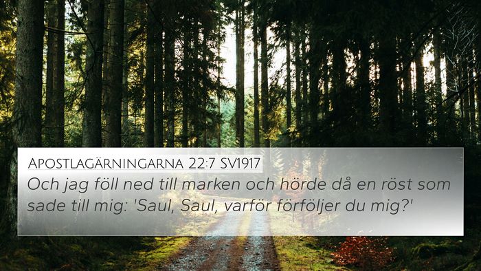 Apostlagärningarna 22:7 SV1917 Bible Verse Image