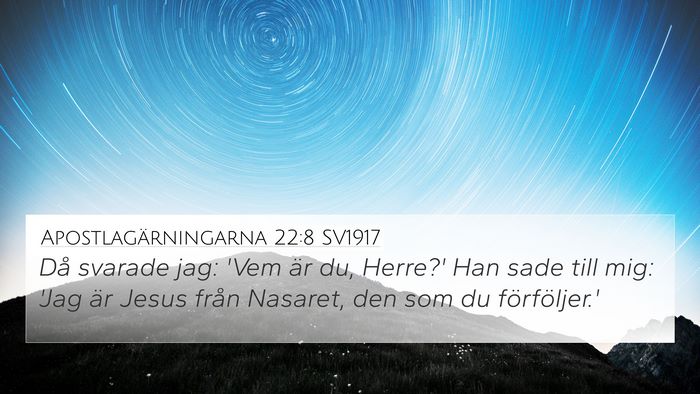Apostlagärningarna 22:8 SV1917 4K Wallpaper - Då svarade jag: 'Vem är du, Herre?' Han sade - 4K Wallpaper Bible Verse