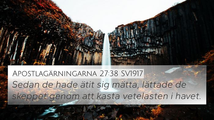 Apostlagärningarna 27:38 SV1917 Bible Verse Image