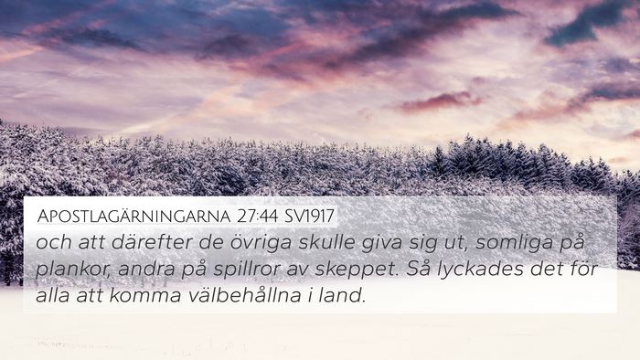 Apostlagärningarna 27:44 SV1917 Bible Verse Image