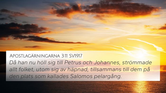 Apostlagärningarna 3:11 SV1917 Bible Verse Image