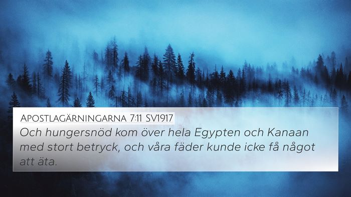 Apostlagärningarna 7:11 SV1917 Bible Verse Image