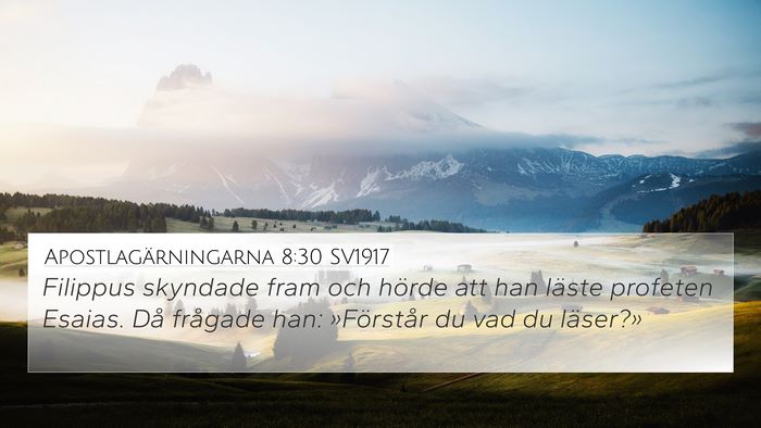 Apostlagärningarna 8:30 SV1917 Bible Verse Image